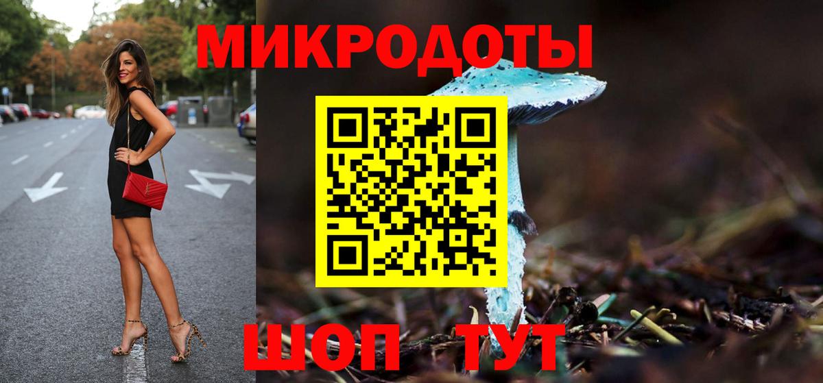 Галлюциногенные грибы Cubensis Сосновоборск
